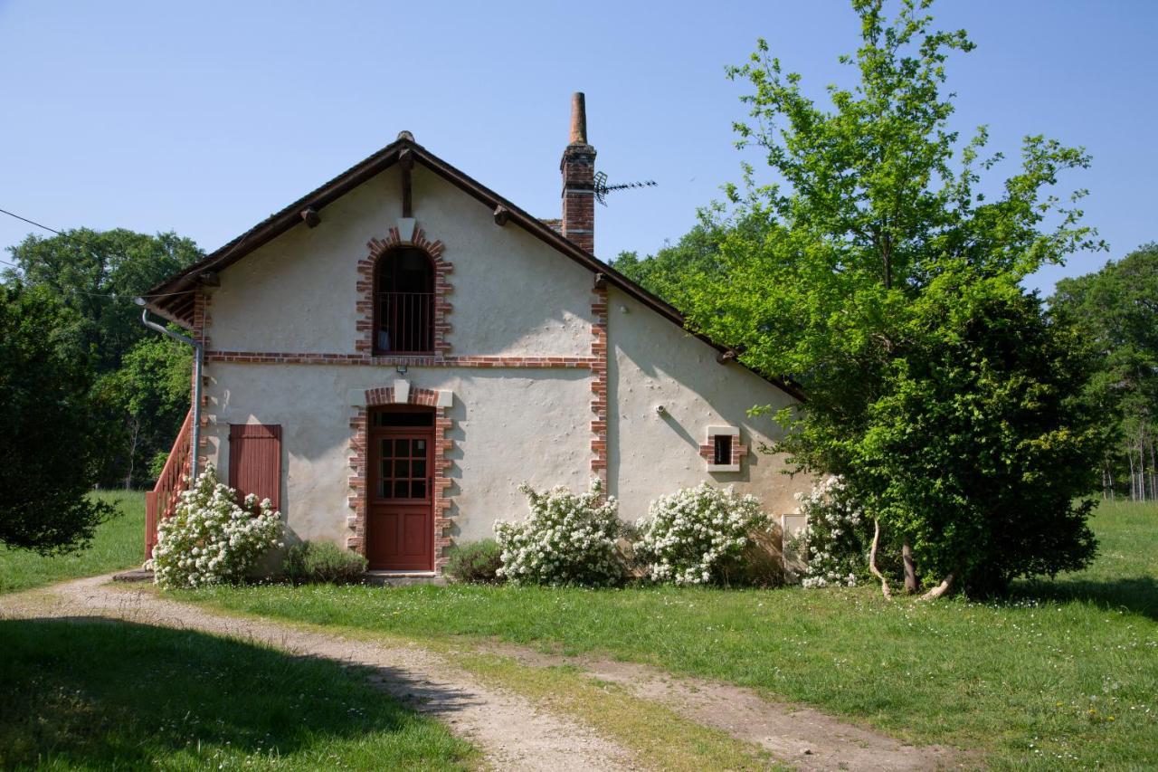 Domaine De La Trigaliere Villa Ambillou Eksteriør billede