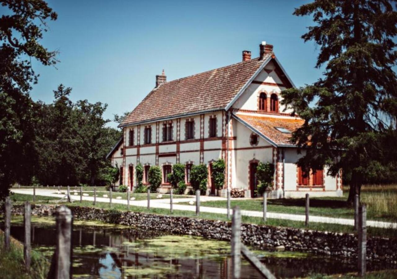 Domaine De La Trigaliere Villa Ambillou Eksteriør billede